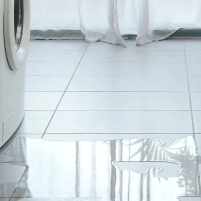 Appliance Leak Cleanup in Isla Vista, CA