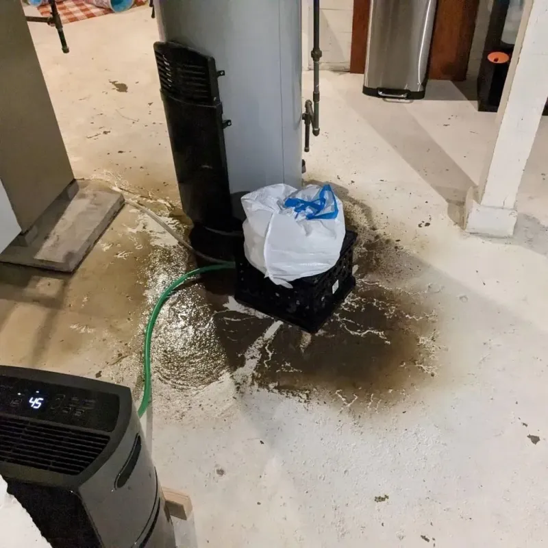 Sewage Backup Cleanup Service in Isla Vista, CA